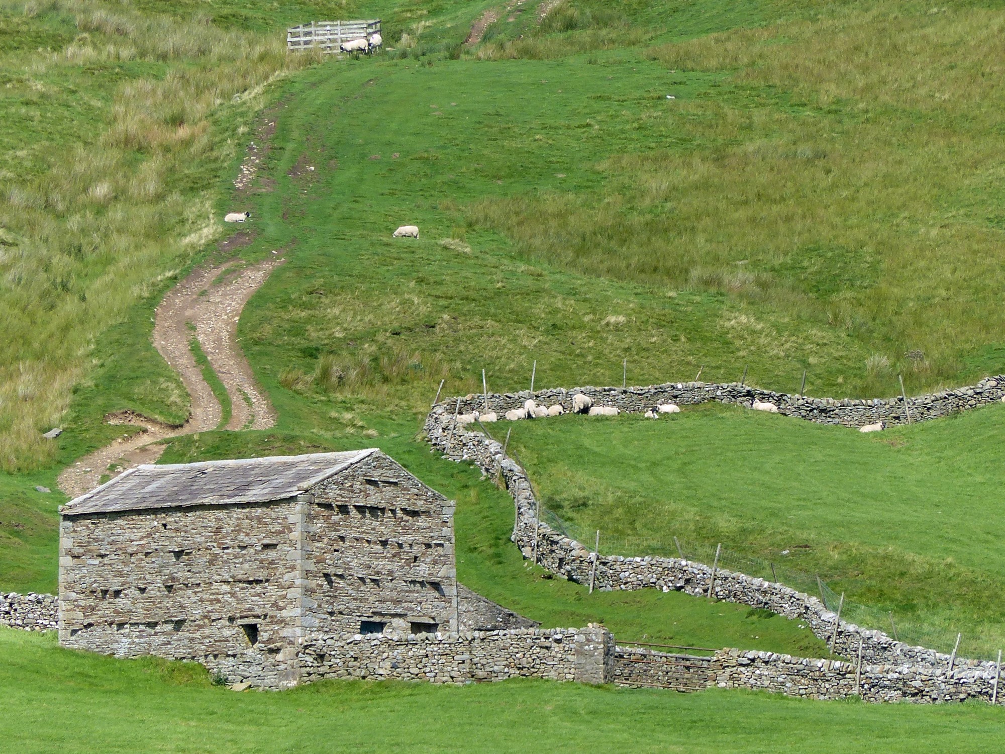 Gallery: the barns of Swaledale - Travel with me