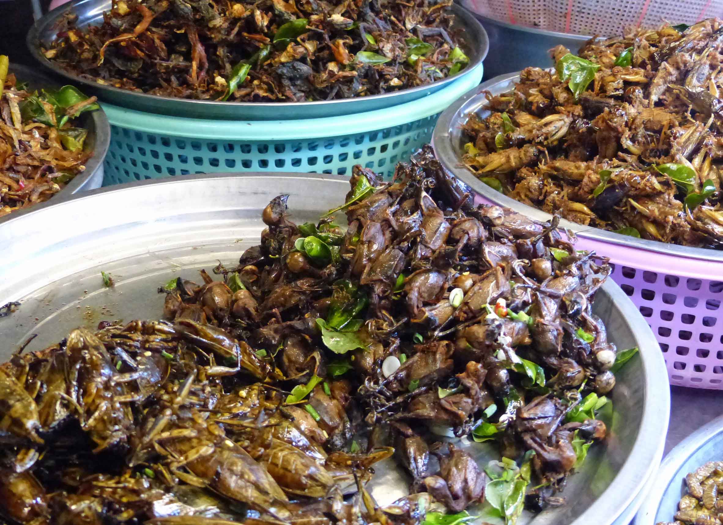 Exploring The Street Food Of Phnom Penh - Travel With Me