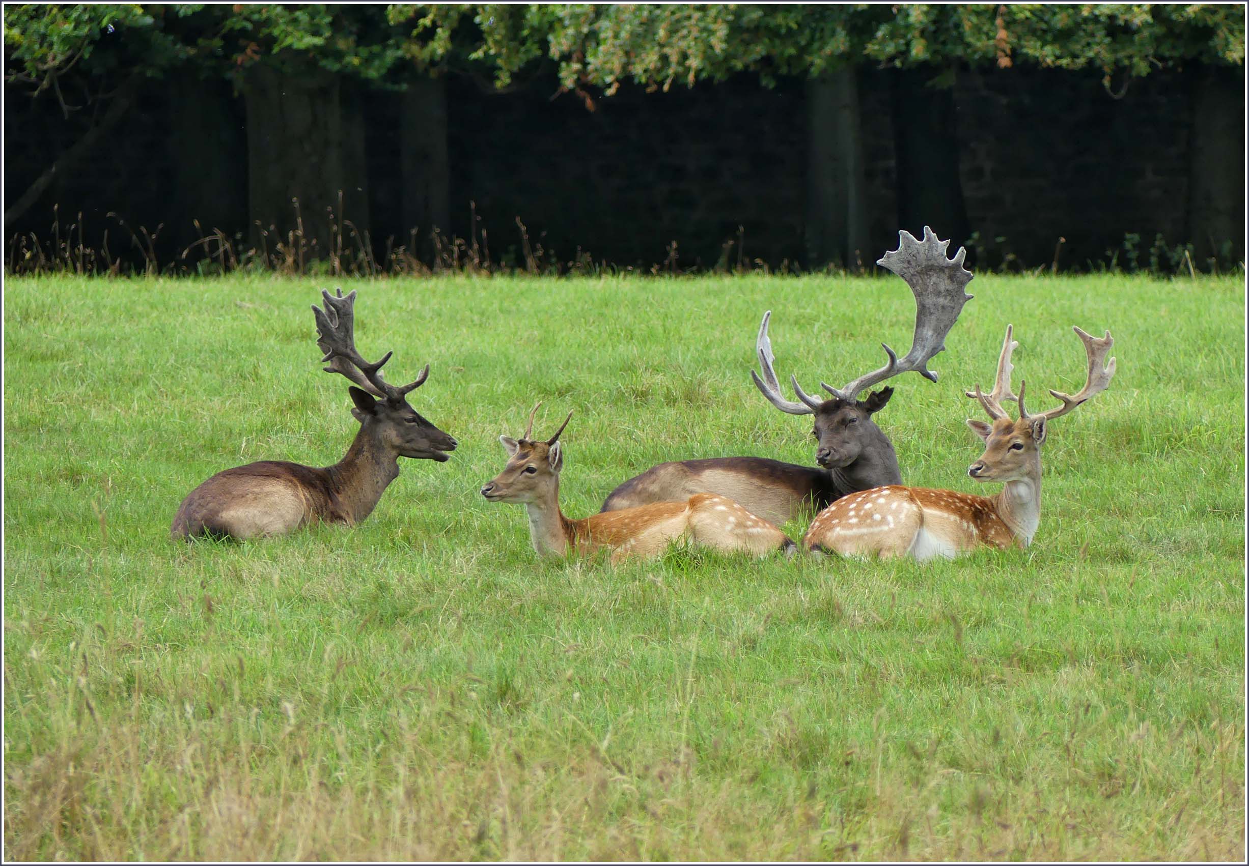 Studley Royal, a very English country garden - Travel with me